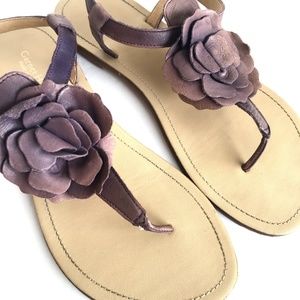 Garnet Hill Leather Rose Sandal Sz 8